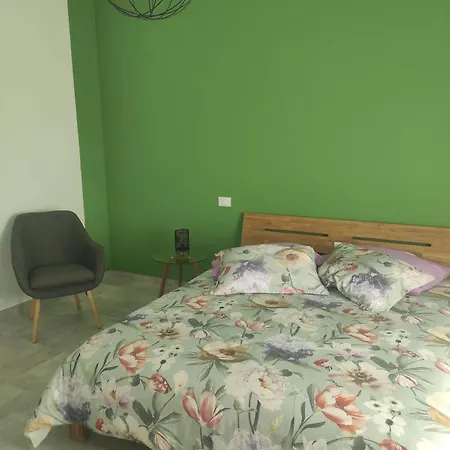 Esotica 新乔瓦尼提蒂诺